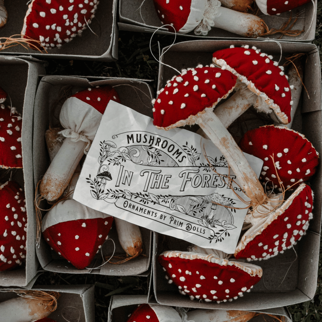Handmade embroidered mushroom cottagecore inspired with red corduroy fabric.