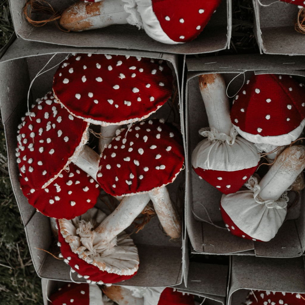 Handmade embroidered mushroom cottagecore inspired with red corduroy fabric by Prim Dolls.