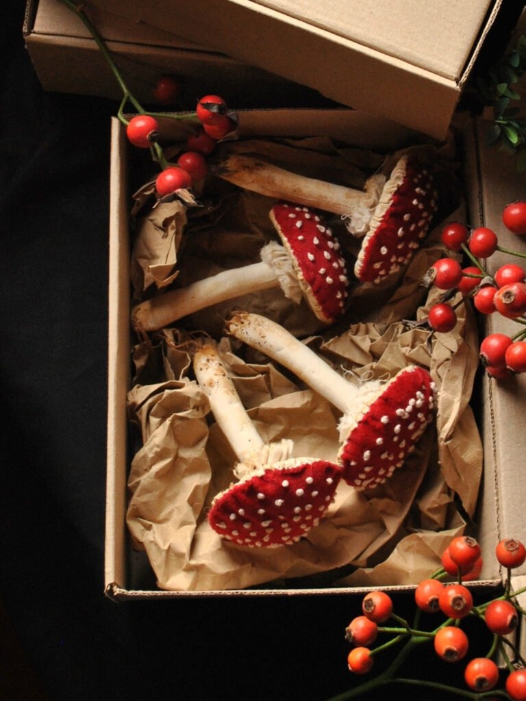 Box "In The Forest" Mushroom Cottagecore inspired by Prim Dolls.