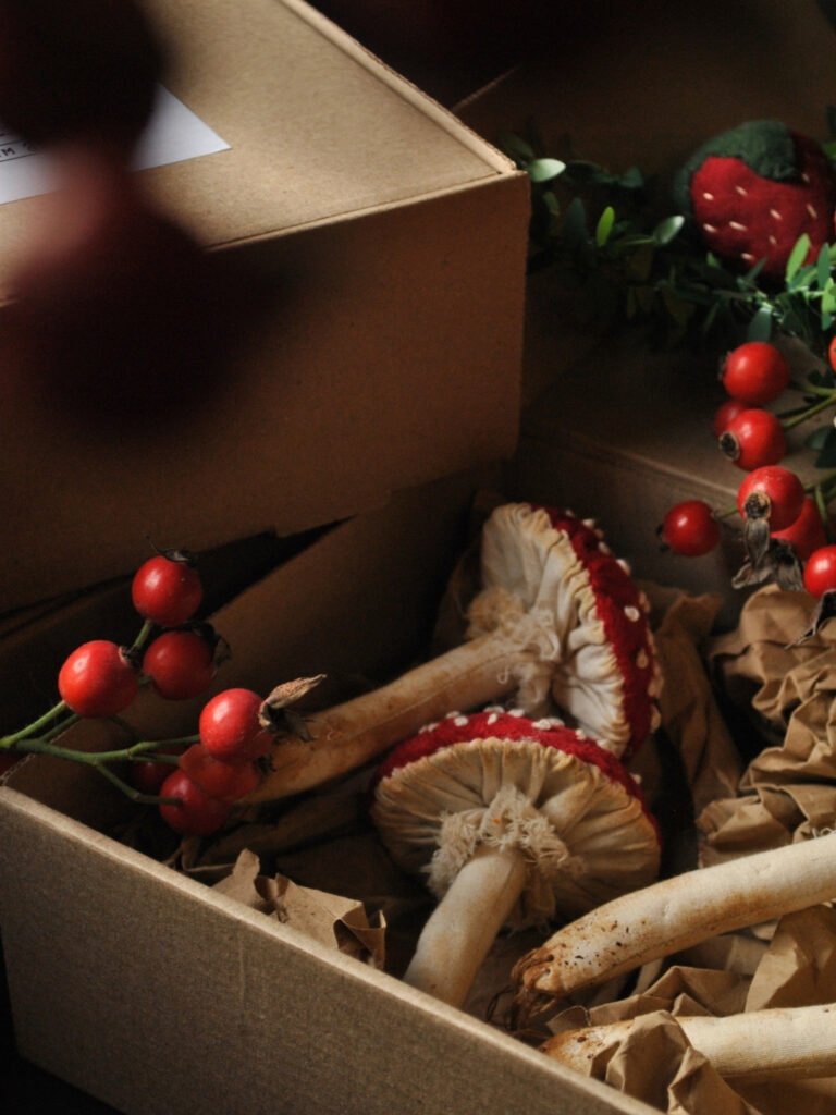Box "In The Forest" Mushroom Cottagecore inspired by Prim Dolls.