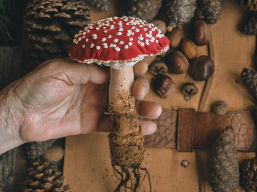 Handmade amanita muscaria mushroom inspired by forest cottagecore decor